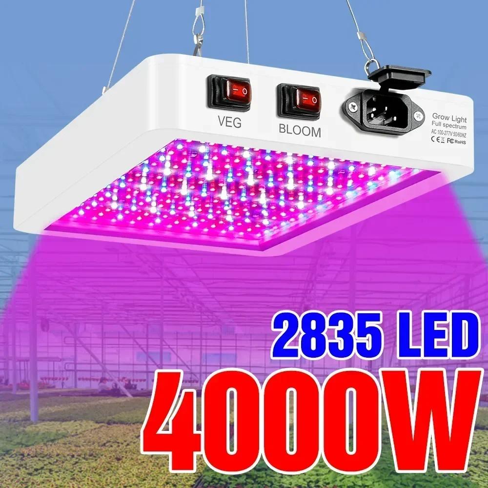 Ǯ Ʈ LED  , IP65 Ĺ ,  , ½ ,    ڽ, ֽ 4000 W, 5000W